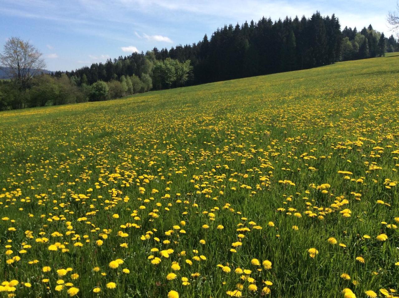 Ferienbauernhof Koller Villa Helfenberg Екстериор снимка